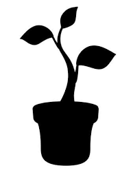 Sprout Plant In Flower Pots Black