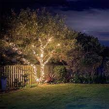 Low Voltage Led Fairy Lights For Trees