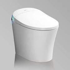 1 27 Gpf Dual Flush Elongated Toilet