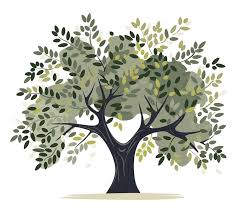 Olive Tree Hand Drawn Watercolor Vector