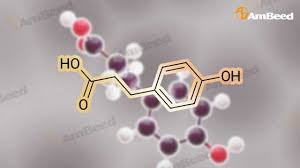 4 Hydroxyphenyl Propionic Acid