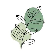 Botanical Wall Art Vector Set Line Art