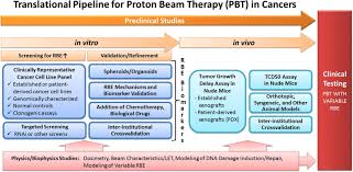 variable rbe for proton beam therapy