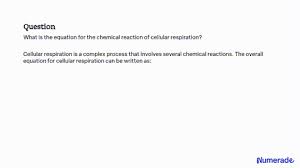 Write The Overall Chemical Equation For