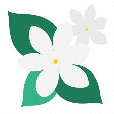 Bloom Flower Garden Jasmine Plant