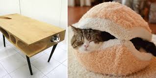 Furniture Design Ideas For Cat