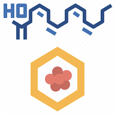 Acid Check Chemical Chemistry