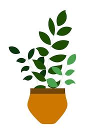 Plant In A Pot Green Leaves Flat Art