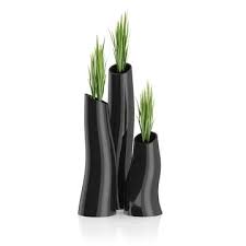 Three Plants In Black Pots 3d Model