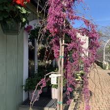 Colonial Gardens Updated May 2025