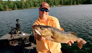 Walleye Lures A Shade Beyond