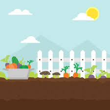 Veggie Garden Vector Art Icons And