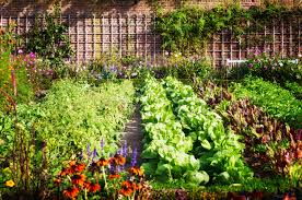 Garden Success Strategic Layouts For A