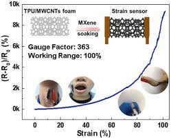 Strain Sensor Based On Carbon Nanotubes