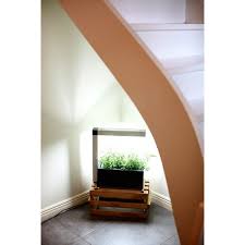 Potager Interieur Herbie