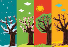 4 Seasons Vector Art Icons And