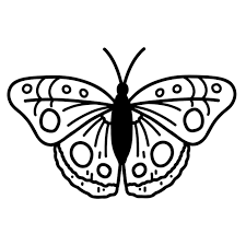 Hand Drawn Doodle Erfly Vector