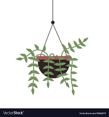Hanging Pot Indoor Garden Vector Image