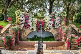 Grotto Revival Native Plants
