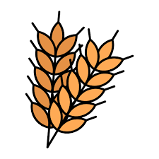 Wheat Generic Outline Color Icon