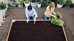 Raised Garden Bed Easy Diy Steps To