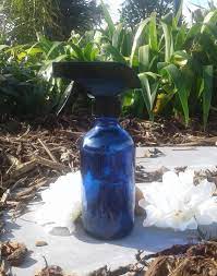 250ml Blue Glass Bottle With Trigger