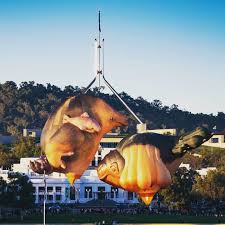 Probing The Polls Skywhale Flights And
