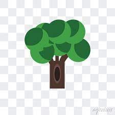 Tree Vector Icon Isolated On