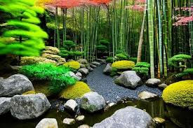 Japanese Garden With Pond Ancient