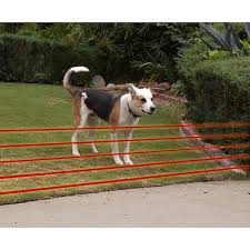 Ultra Electronic Dog Fence