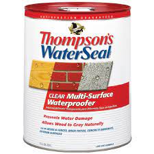 Thompson S Waterseal Clear Flat