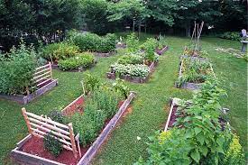 An Herb Garden In Three Parts