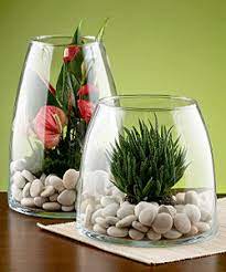 Glass Plant Terrarium Ideas Plant
