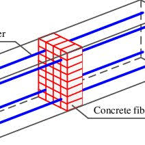 fiber section model with shear