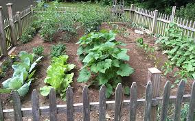 The Benefits Of A Home Vegetable Garden