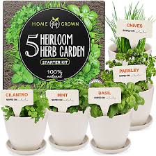 Indoor Herb Garden Starter Kit 5 Herb