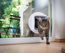 The 7 Best Cat Doors In 2024 Cats Com