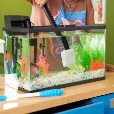 How To Clean A Fish Tank Freshwater