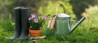 12 Time Saving Gardening Tools You