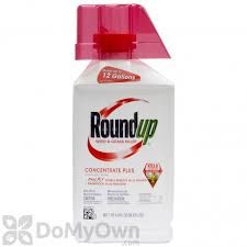 Roundup Lawn Garden Concentrate Plus