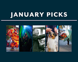 Our Monthly Picks January 2023