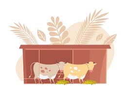 St Miguel Cattle Painting Images