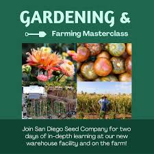 Buy Local Seeds From San Diego Seed Company