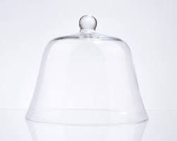 Circular Glass Dome Display Cloche Bell