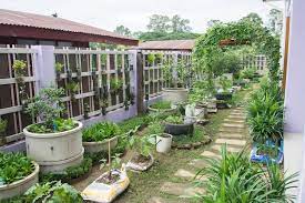 Premium Photo Vegetable Garden In The