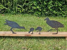 Pukeko Family Steel Art Nz