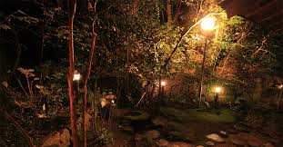 Dramatic Garden That Lights Up At Night