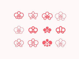 Orchid Flower Icons Flower Icons