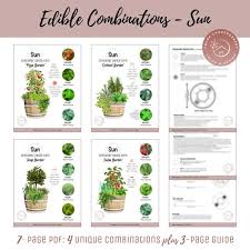 Easy Edible Container Garden Plan
