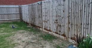 My Neighbour Stained My Fence Without
